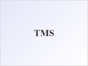Timeless Monogram Fonts with Classic Script Initials